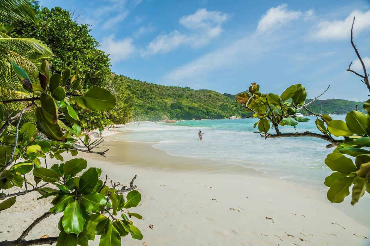 Lou Lou Bungalow Grand Anse  Eksteriør billede