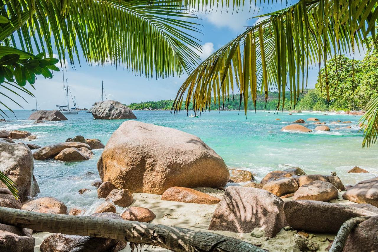 Lou Lou Bungalow Grand Anse  Eksteriør billede