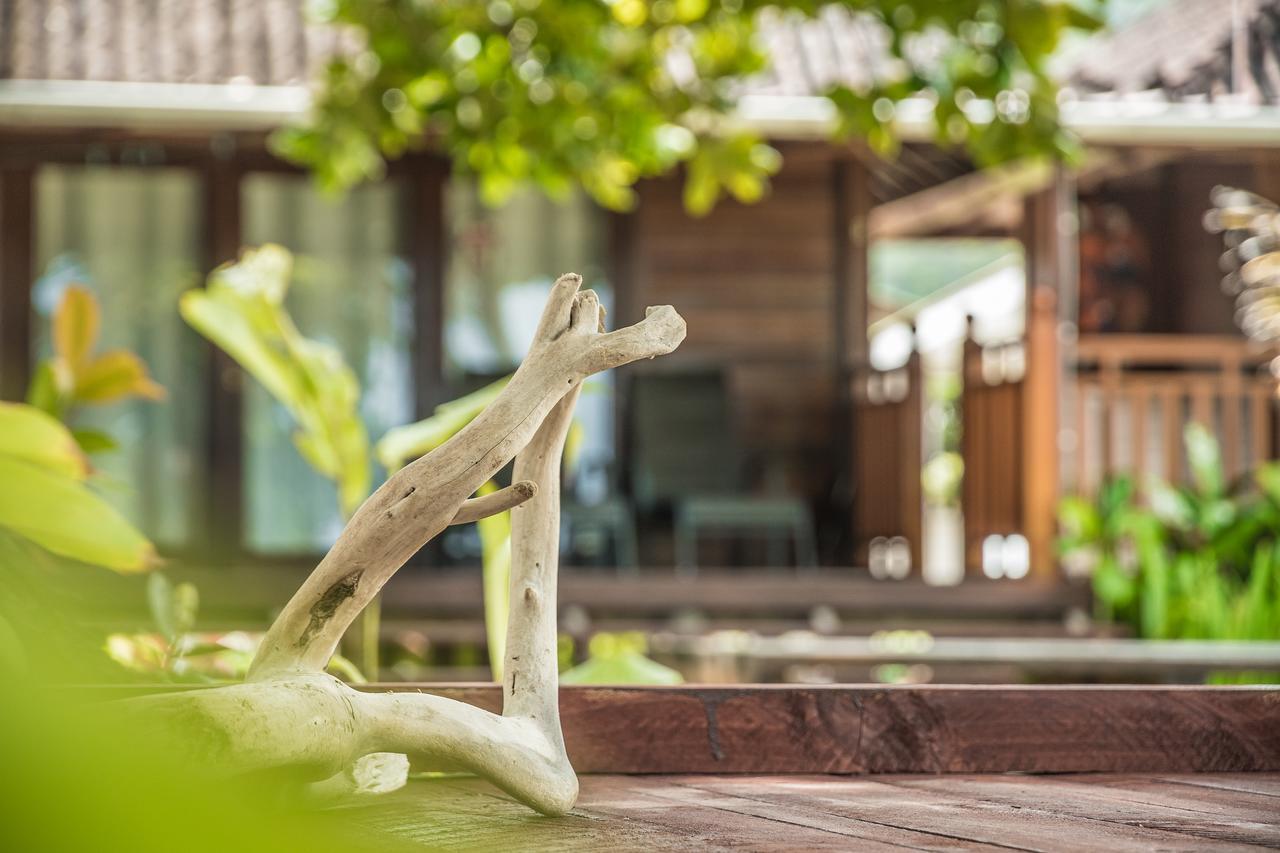 Lou Lou Bungalow Grand Anse  Eksteriør billede