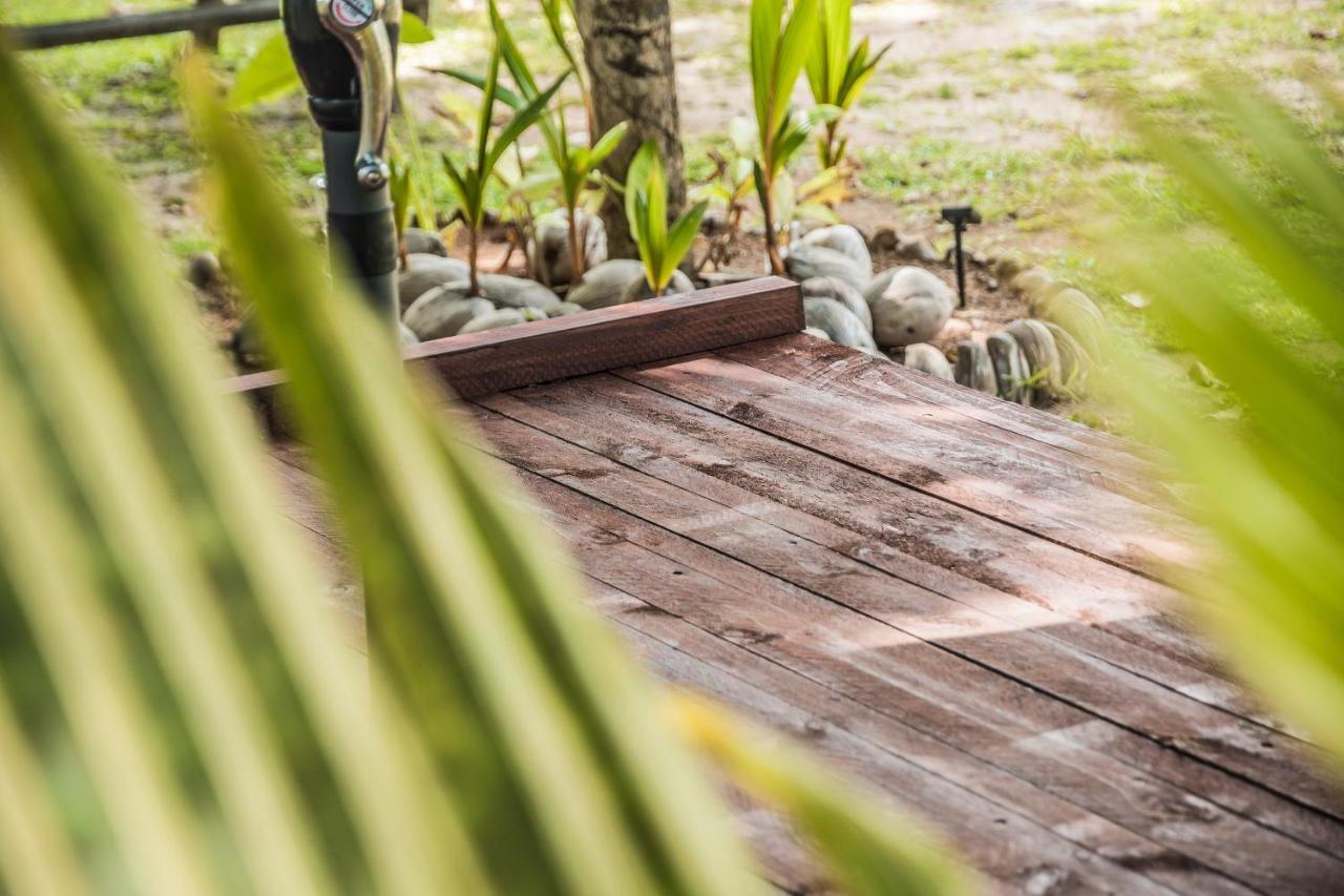 Lou Lou Bungalow Grand Anse  Eksteriør billede