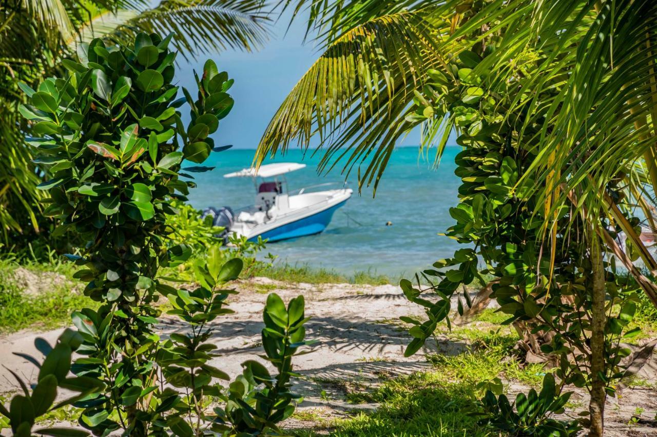 Lou Lou Bungalow Grand Anse  Eksteriør billede