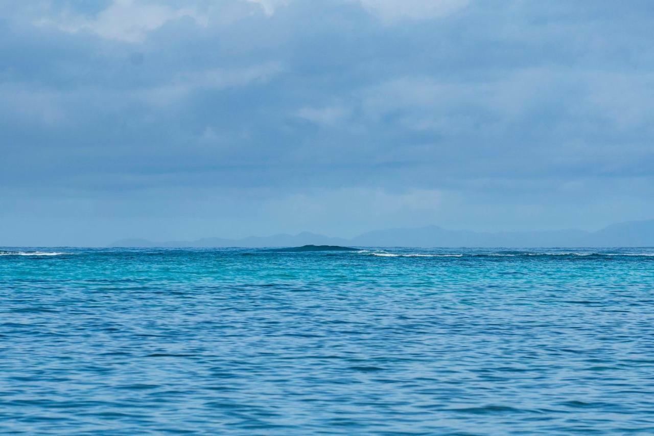 Lou Lou Bungalow Grand Anse  Eksteriør billede