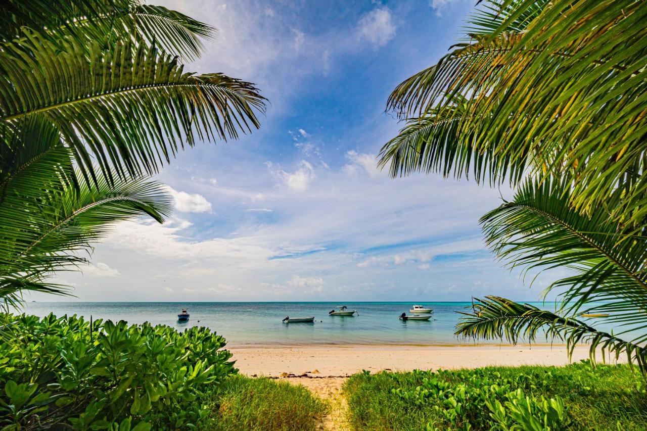 Lou Lou Bungalow Grand Anse  Eksteriør billede
