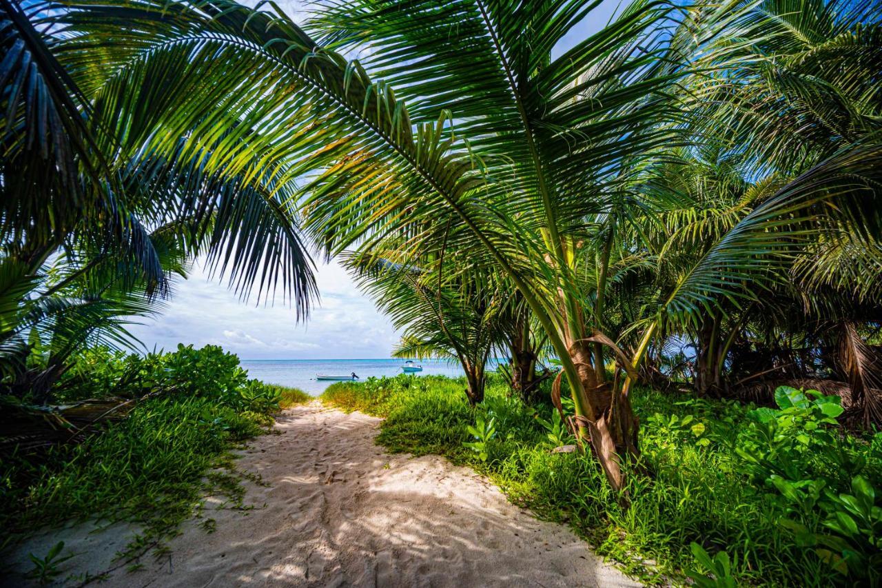 Lou Lou Bungalow Grand Anse  Eksteriør billede
