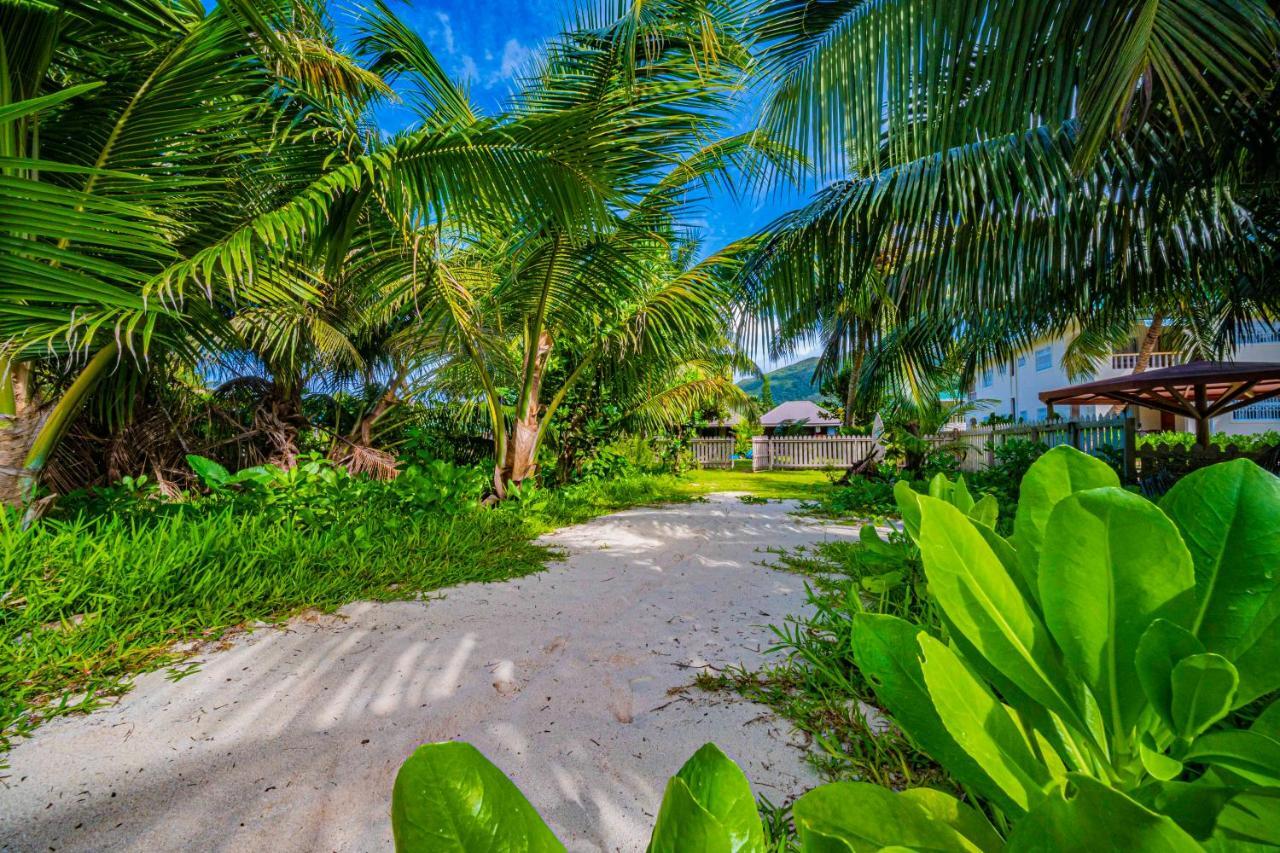 Lou Lou Bungalow Grand Anse  Eksteriør billede