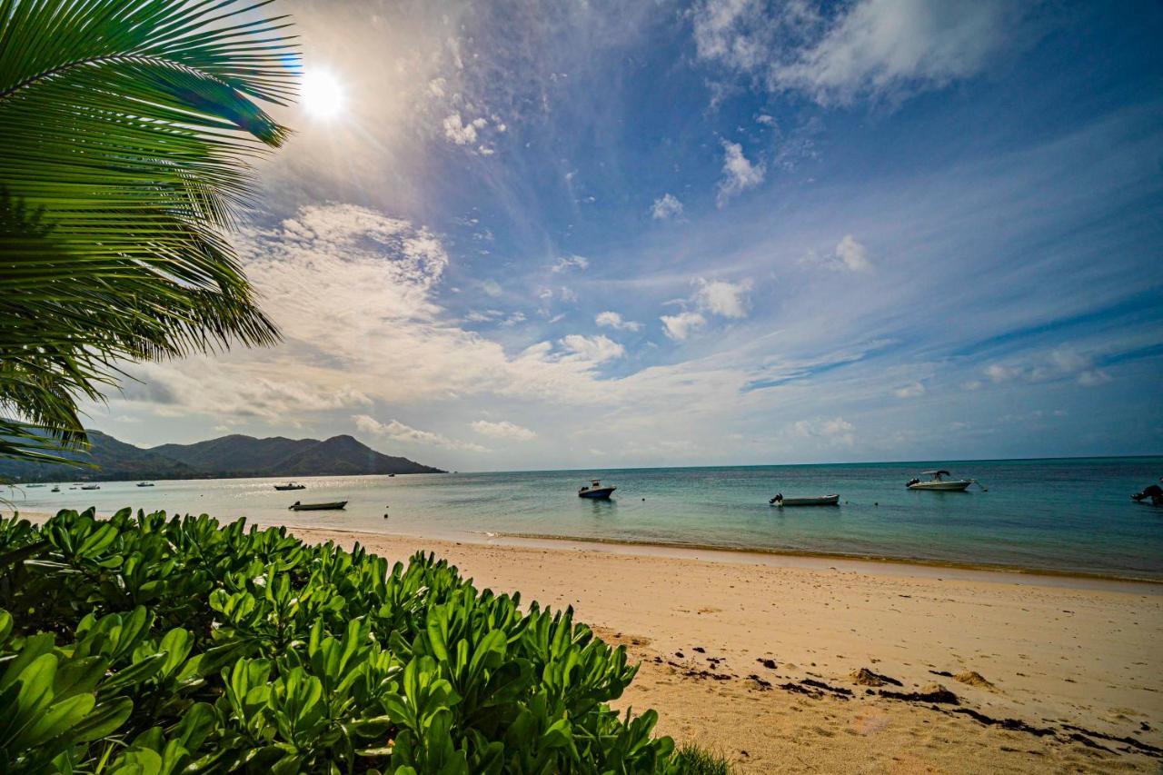 Lou Lou Bungalow Grand Anse  Eksteriør billede